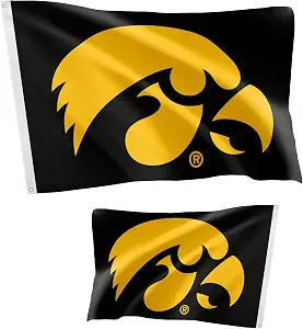 Desert Cactus University of Iowa Flag 3x5 Ft (Double Sided - Flag 1) | Officially Licensed UI Iow... | Amazon (US)