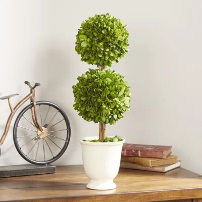 Gaudreau Double Ball Topiary in Pot | Wayfair North America