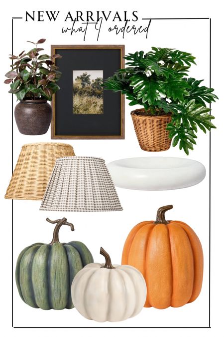New Target Fall Arrivals from Threshold with Studio McGee!  Linked everything I ordered, there are so many good pieces it was difficult to decide!  Comment what you ordered, would love to see!  

Can’t believe I’m ordering pumpkins in June, but I know they will sell out!  The lamp shades are adorable and loving so many of the prints.  The marble tray will have so many uses along with the faux plants!

#LTKHome #LTKSeasonal #LTKFindsUnder50