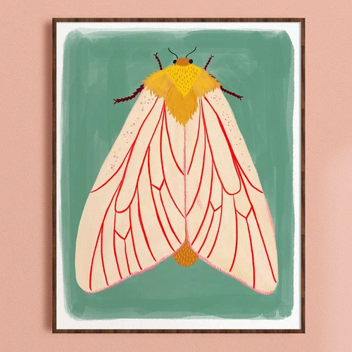 Moth Illustration, Colorful Kids Room Print, Insect Wall Art, Nature Lover Gift, Bedroom Art Prin... | Etsy (US)