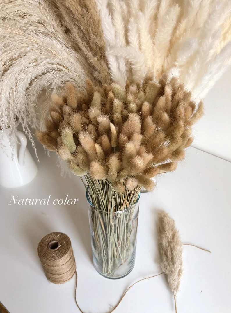BUNNY TAILS Pampas Grass 30 pcs Multicolor -Dried Lagurus Home Decor Wedding Decor Bridal Bouquet... | Etsy (US)