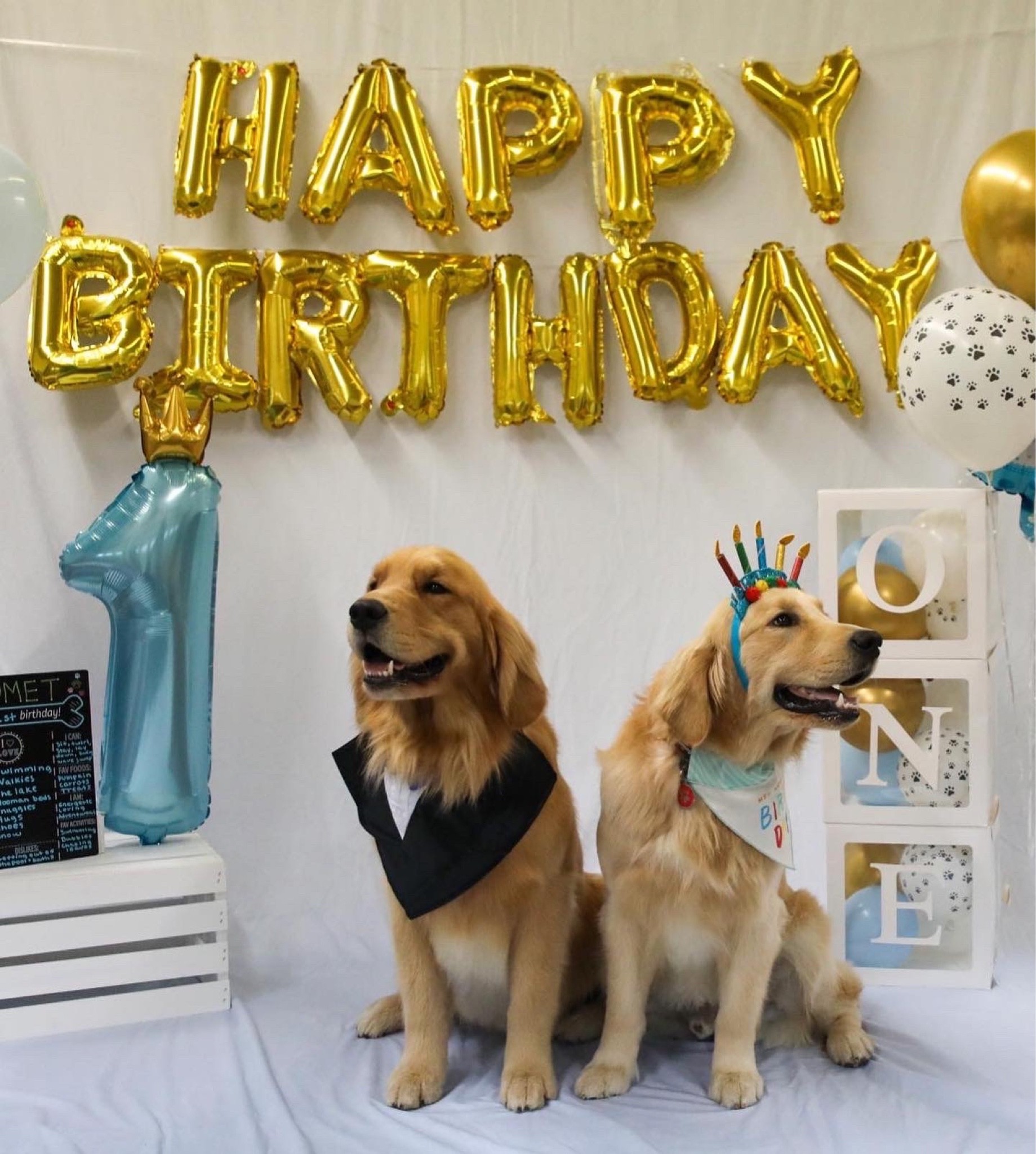 Comet’s Birthday Celebration! Shop everything below✨


#LTKstyletip #LTKunder50 #LTKHoliday