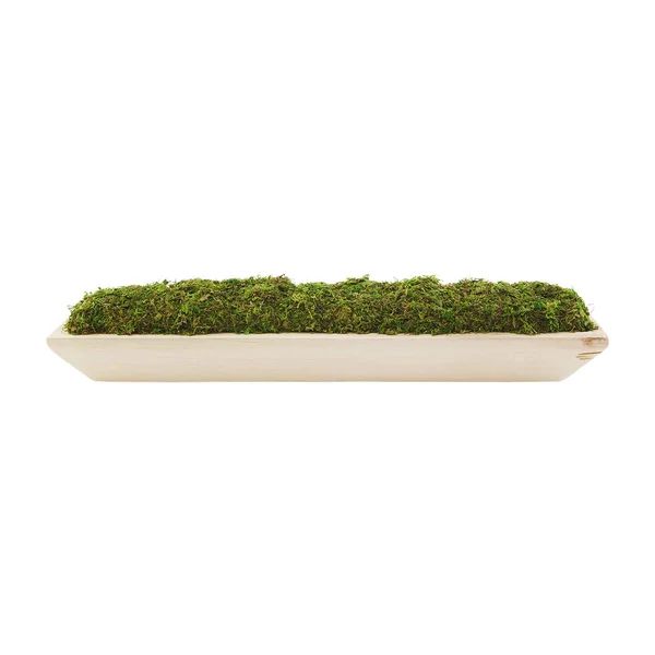 CLASSIC HOME 4.25'' Moss Topiary in Pot | Wayfair North America