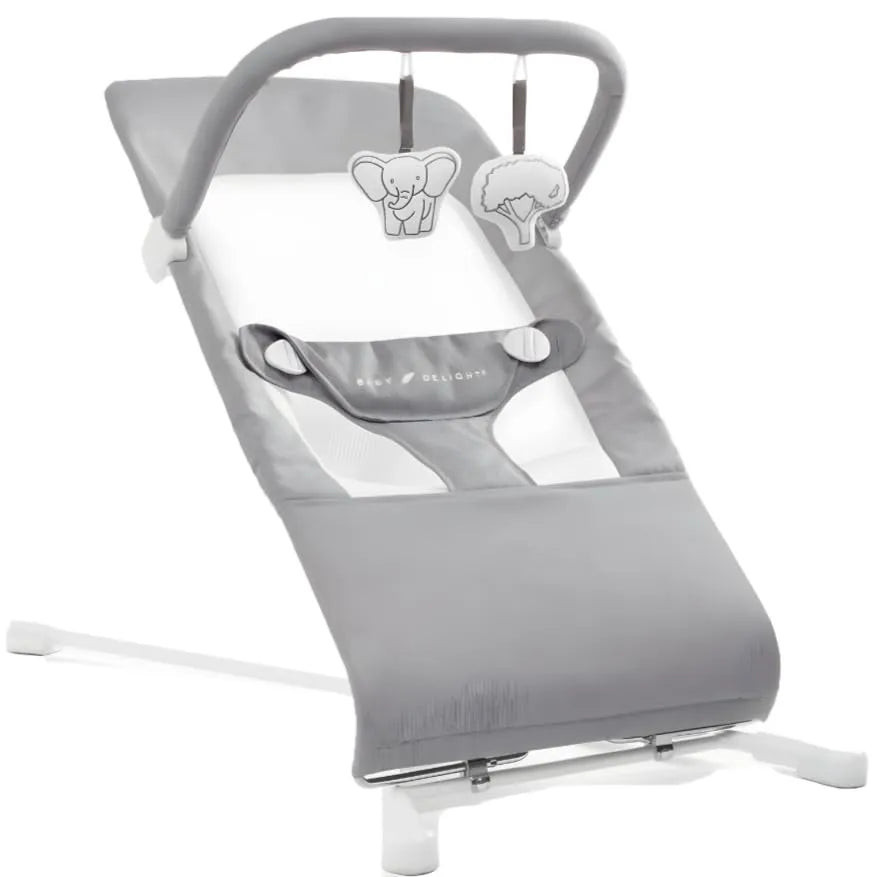 Baby Delight Highland Baby Bouncer Pebble Grey | REBEL (formerly Rebelstork)