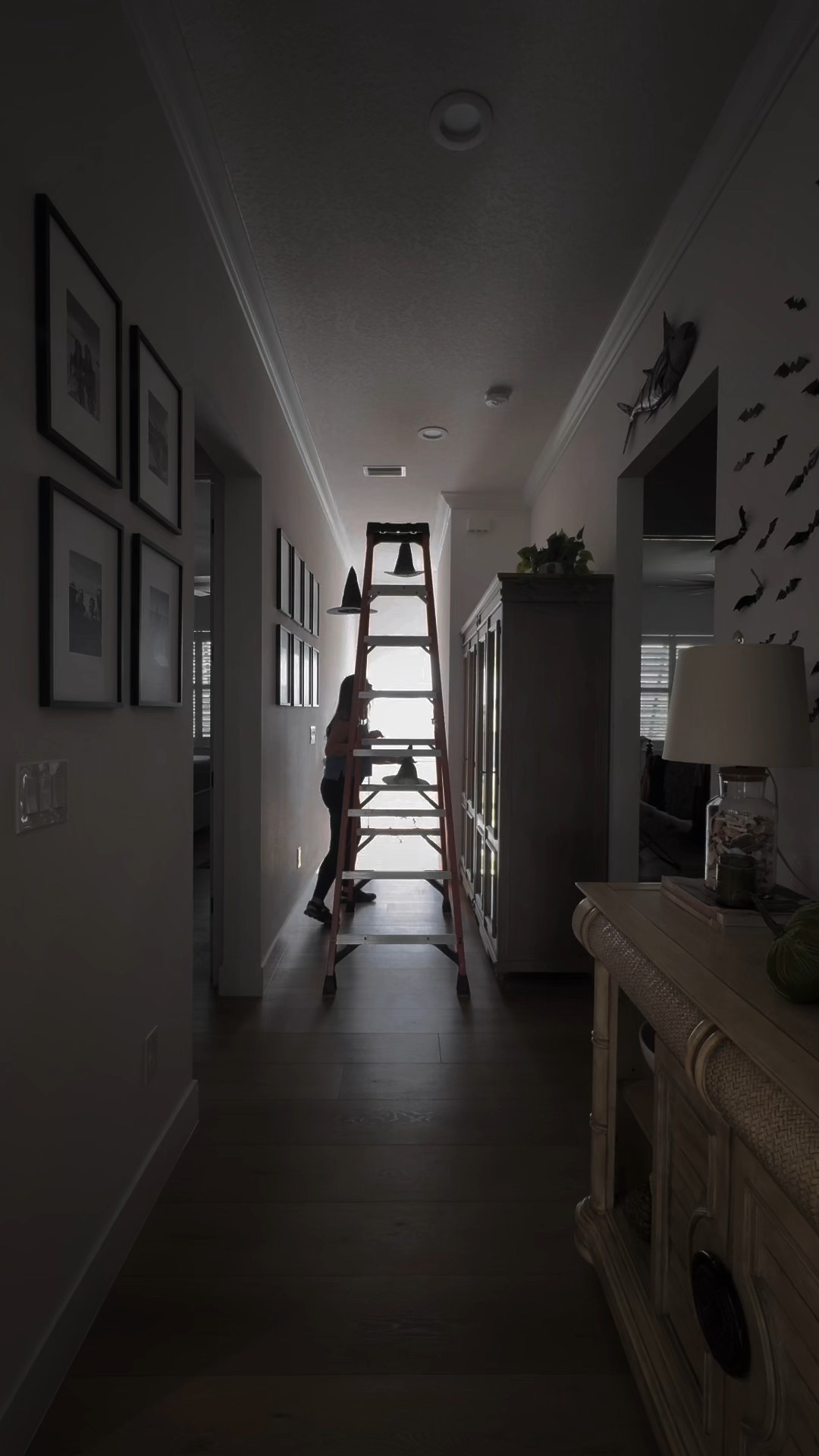 Floating witch hats! 

#LTKSeasonal #LTKHalloween #LTKHome