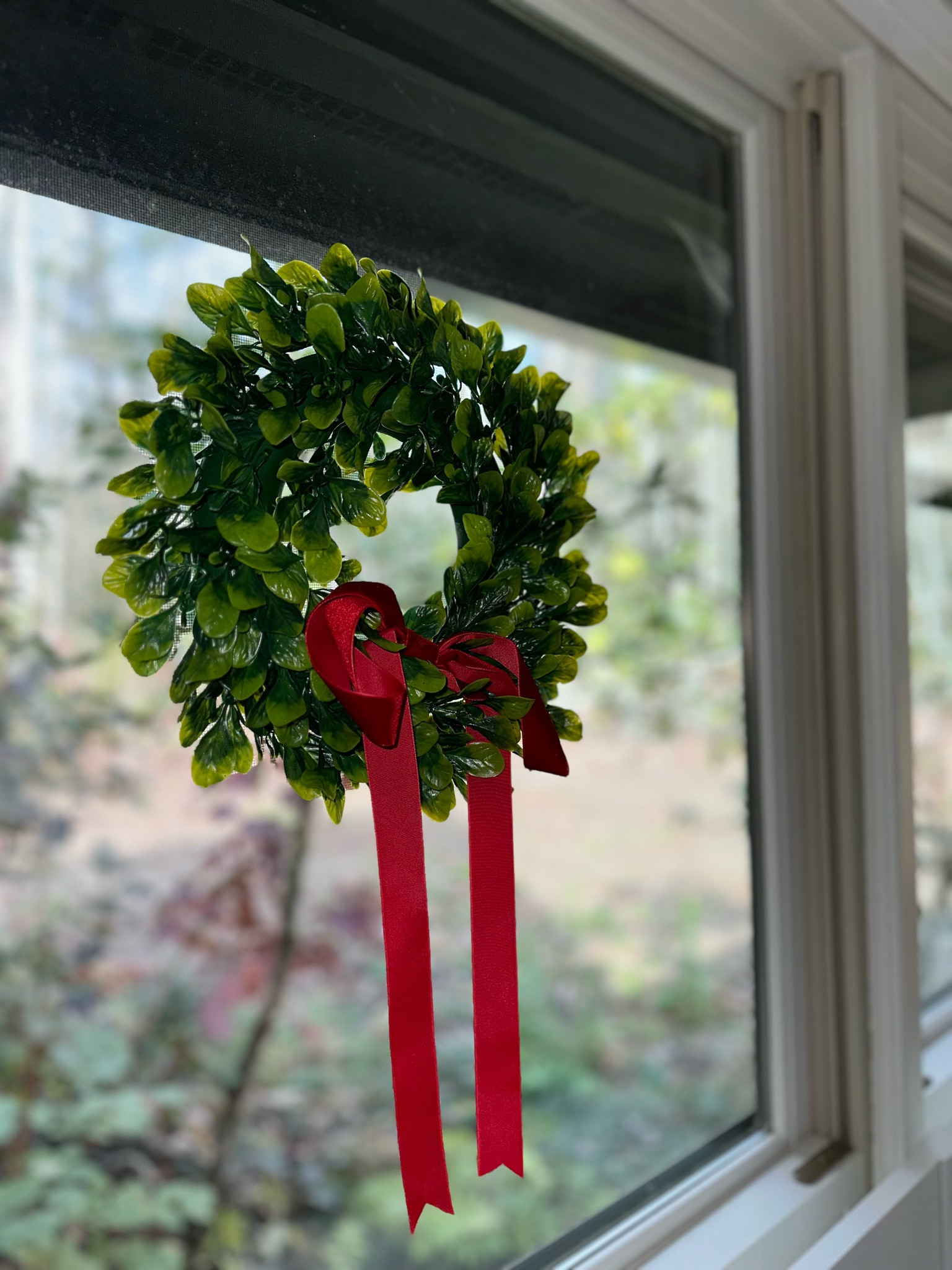 These wreathes are the perfect size for my sunroom windows! 

#LTKFindsUnder50 #LTKHoliday #LTKSeasonal
