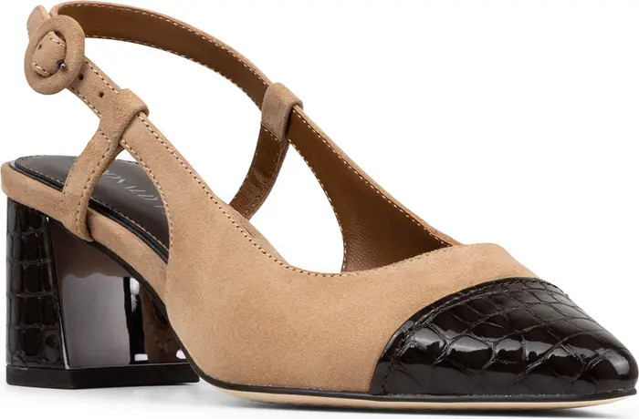 Song Slingback Pointed Toe Pump (Women) | Nordstrom