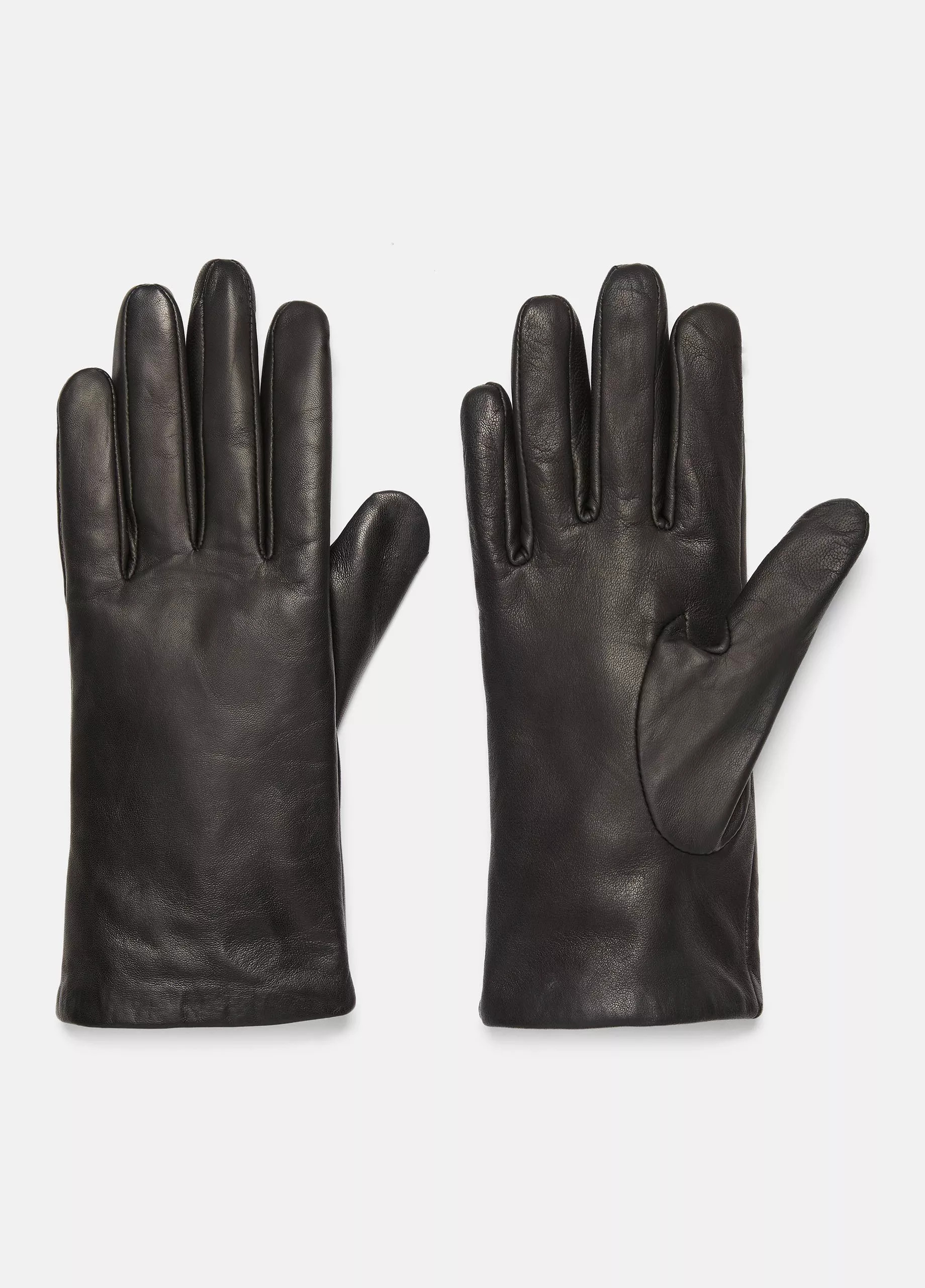 Cashmere-Lined Short Leather Glove | Vince LLC