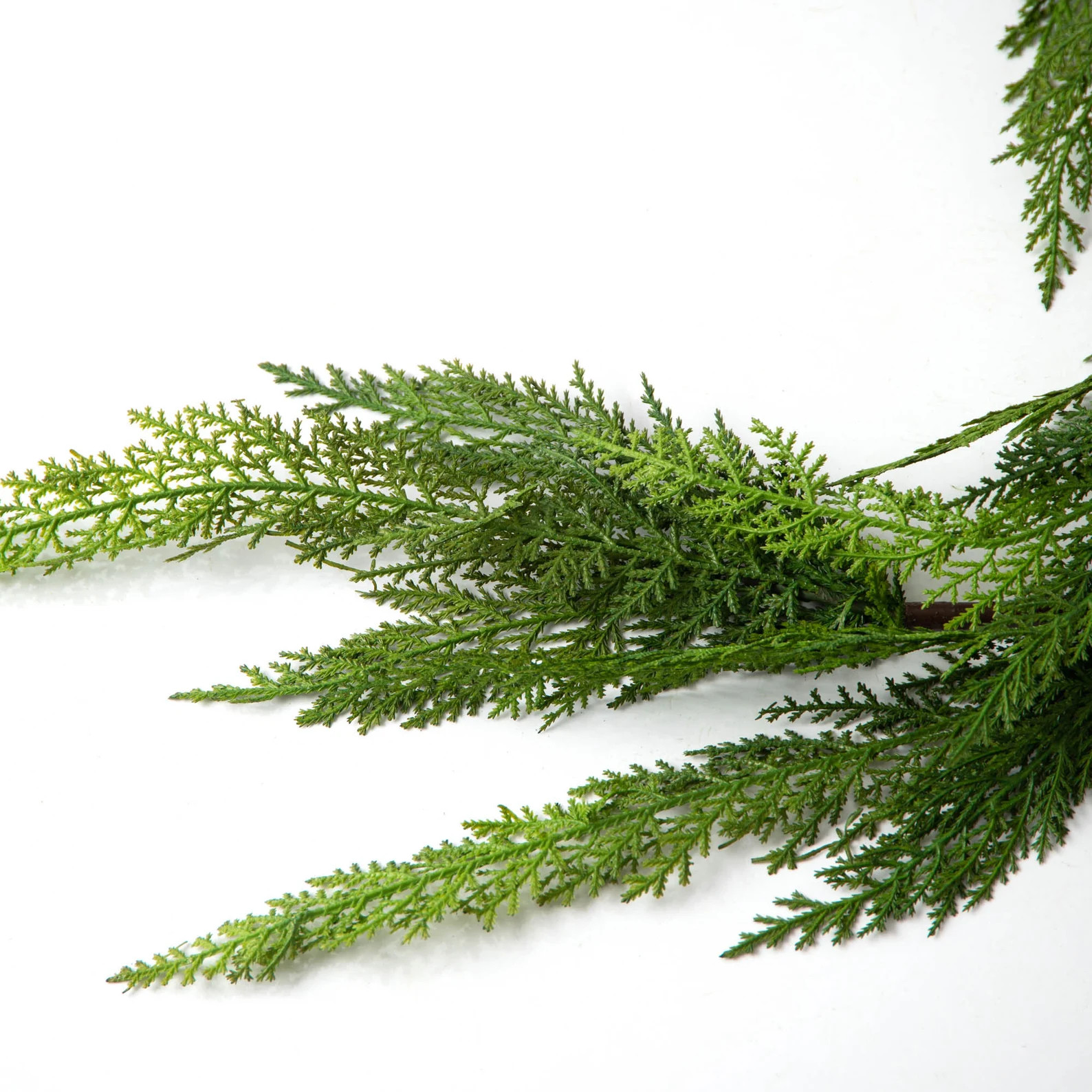 Real Touch Lebanon Cedar Christmas Front Door Garland or Table - Etsy | Etsy (US)