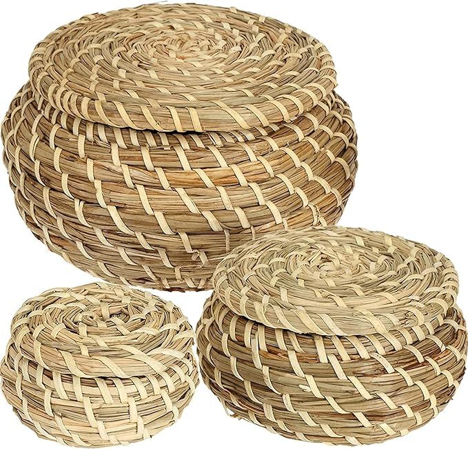 Dicunoy Set of 3 Small Wicker Basket with Lid, Round Woven Seagrass Baskets, Little Handmade Ratt... | Amazon (US)