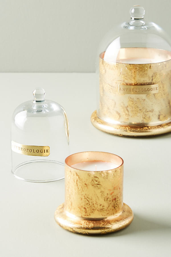 Siberian Fir Cloche + Candle | Anthropologie (US)
