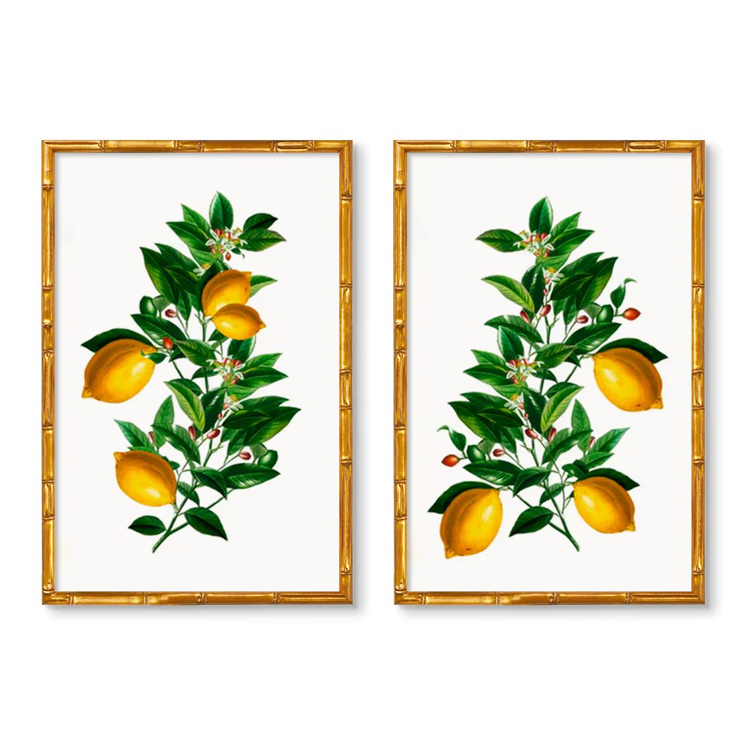 Vintage Lemon Pair | Urban Garden Prints