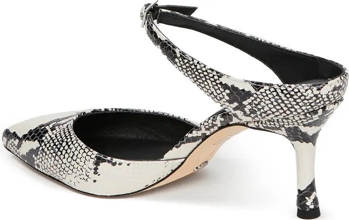 PAIGE Preston Pointed Toe Mule (Women) | Nordstromrack | Nordstrom Rack