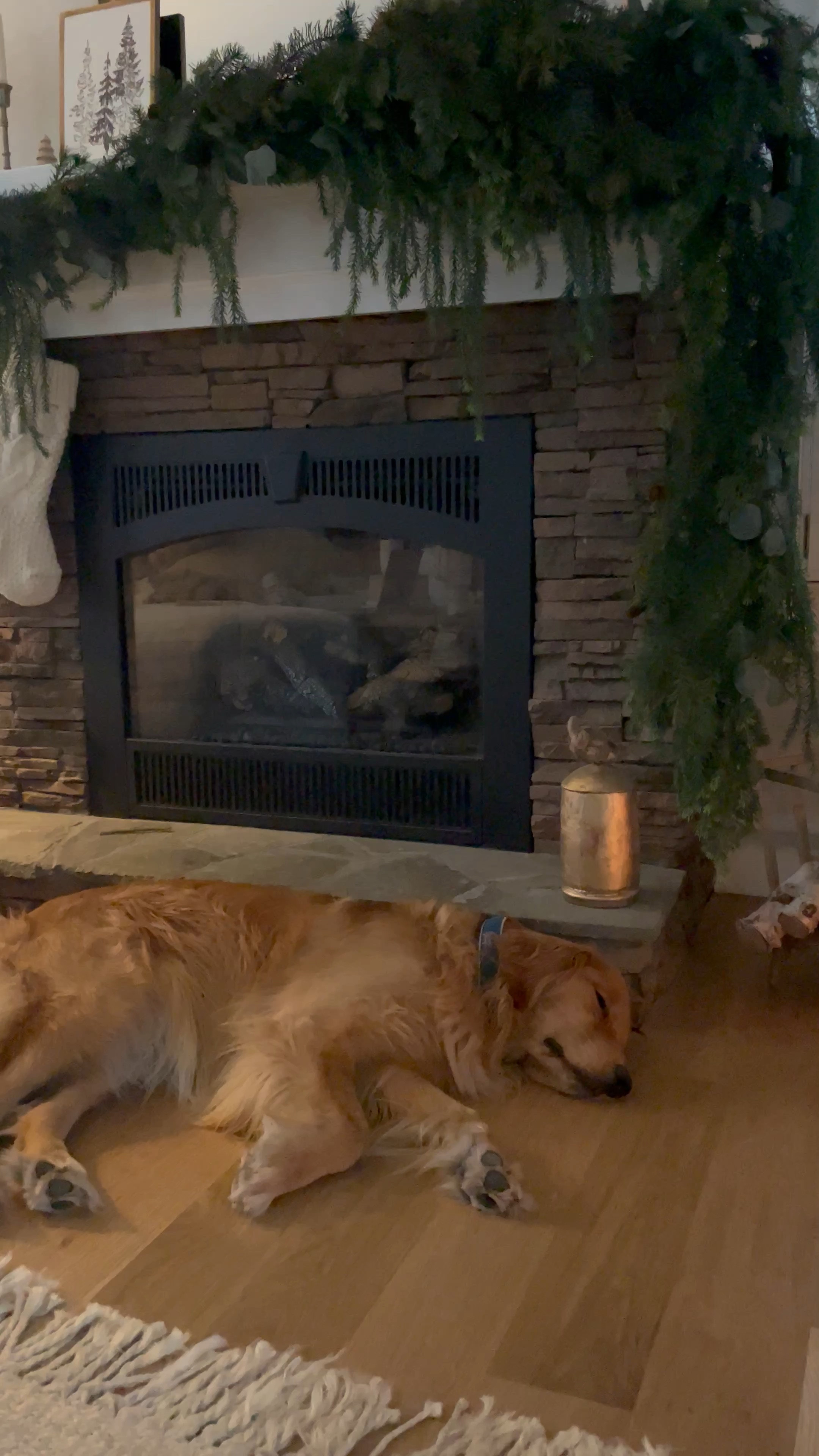 Ended November cozied up in the living room, decorating our tree ✨ Sharing tomorrow, but for now, the November Recap is live on the blog! Check it out to hear updates from me, insight into renovation updates and a full recap of everything shared this month! ✨ Thanks for following along 🤍
•
•
•

Fireplace mantel garland, Christmas garland, affordable holiday home decor, Michael’s garland, stocking decor, holiday home tour, neutral Christmas, simple Christmas decor, brass decor, holiday home inspo, candle holder, mirror, brass decor, nutcracker, hanging bells 