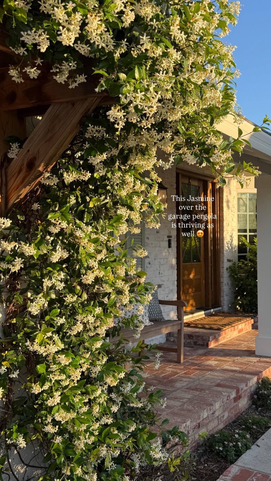 This Jasmine over the garage pergola is thriving as well 😍

#LTKSeasonal #LTKHome