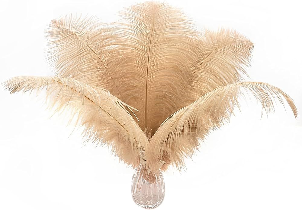 Ballinger Champagne Ostrich Feathers Bulk - 24pcs 10-12inch Boho Feathers for vase and Home Decor... | Amazon (US)