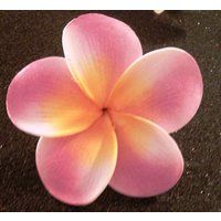 Pink Plumeria, Hawaiian Hair Clip, Pink Flower, Flower Clip | Etsy (US)
