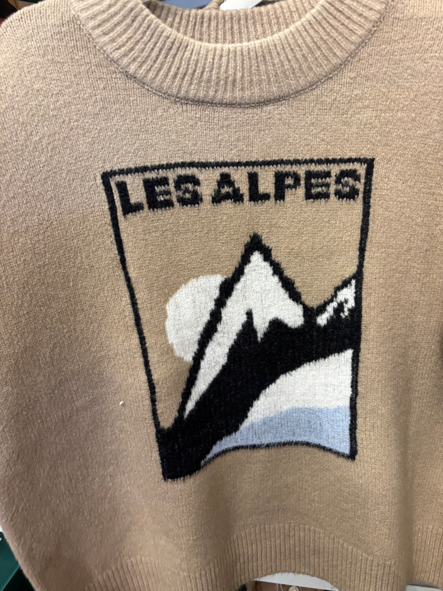 Long sleeve cozy alpine sweater 

#LTKHoliday #LTKFindsUnder50 #LTKSeasonal