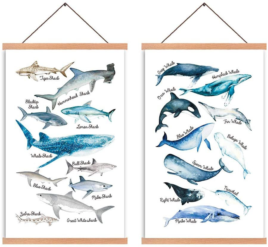 HPNIUB Natural Wood Magnetic Hanger Frame Poster- Shark & Whale Wall Art Print ,Sea Life Canvas P... | Amazon (US)
