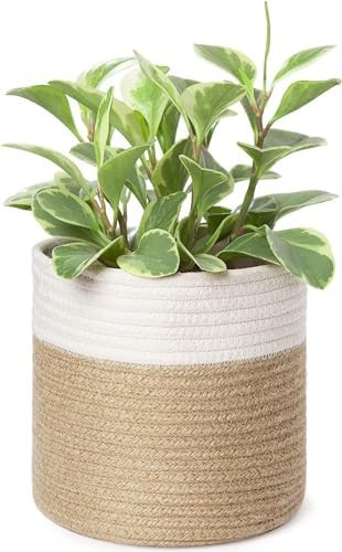 Dahey Small Cotton Rope Plant Basket Woven Plant Coiled Basket for Up to 7" Planter, Decorative F... | Amazon (US)