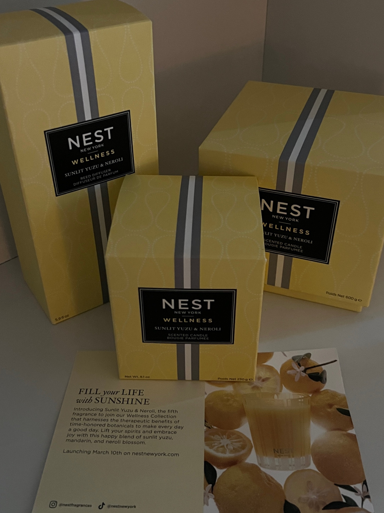 My favorite Nest NY scent! Works for every season, & smells so fresh. 

#LTKSeasonal #LTKU
