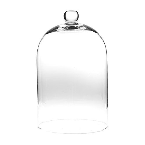 Abbott Collection Small Classic Shaped Cloche, Clear Glass (10" H) | Amazon (US)