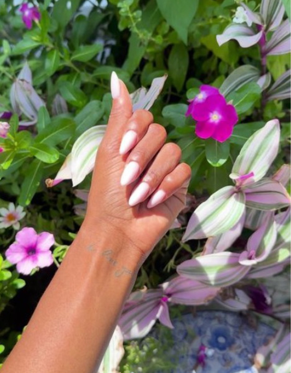 My Nail Care Staples! 

#LTKSeasonal #LTKFind #LTKbeauty