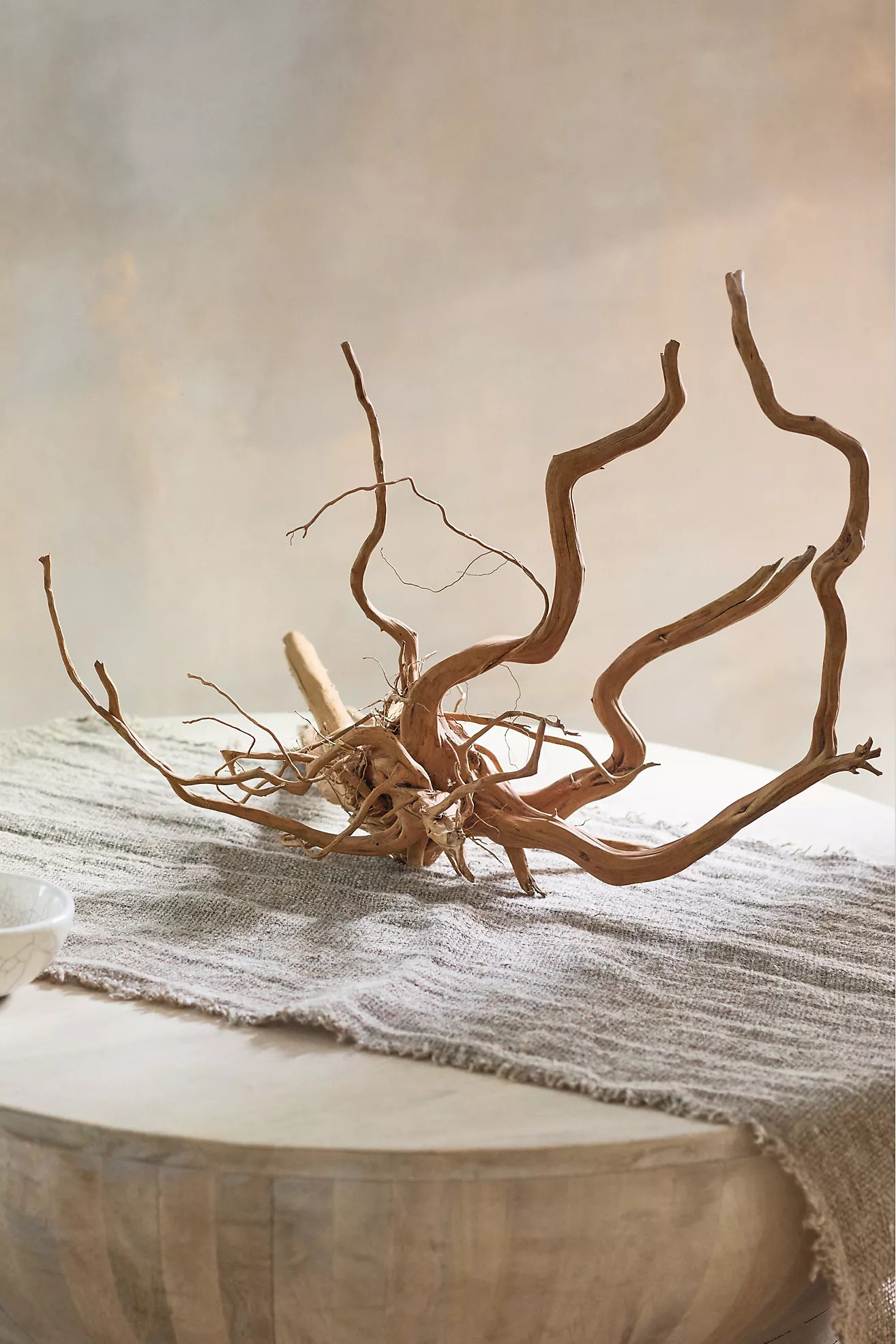 Spider Wood | Anthropologie (US)