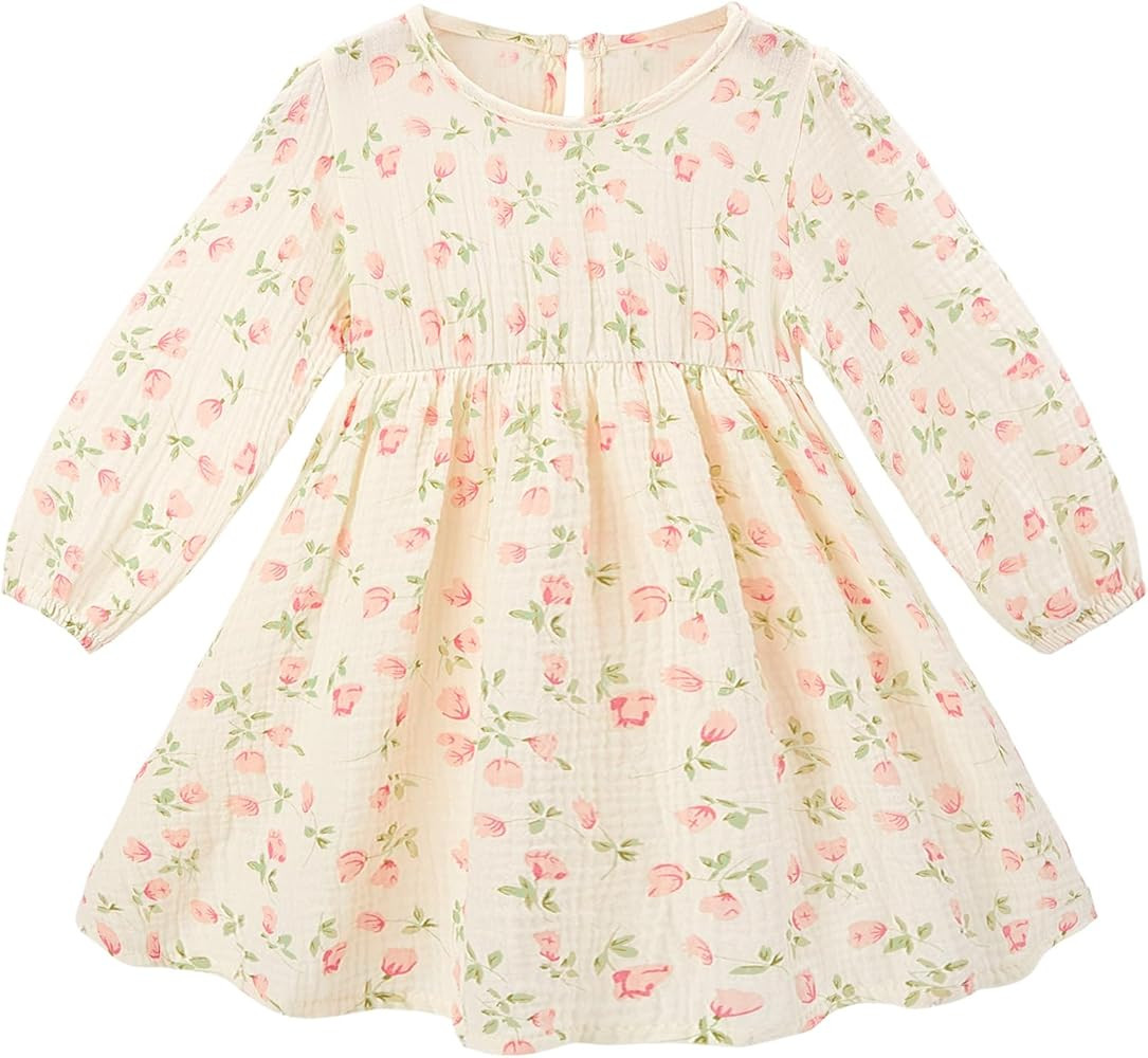 Beinou Toddler Fall Dress for Girls Long Sleeve Dress Baby Girls' Cotton Dresses Casual Spring Fa... | Amazon (US)