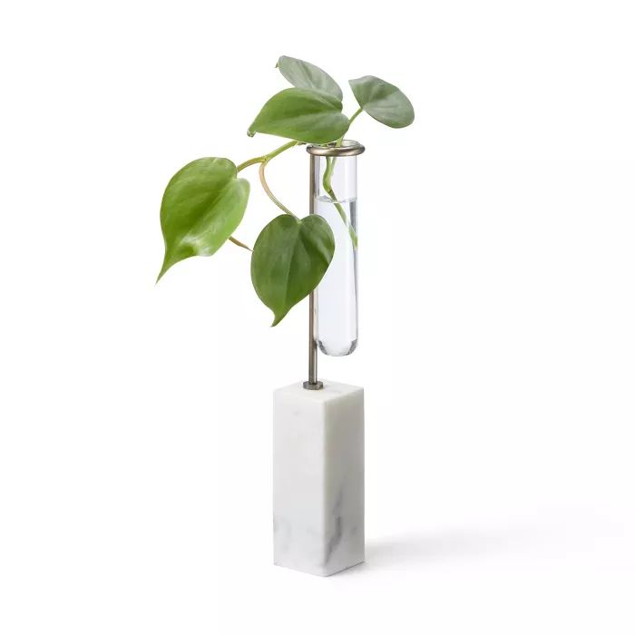 9.5" x 1.5" Marble/Metal Single Stem Propagation Plant Stand - Hilton Carter for Target | Target