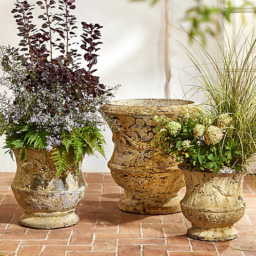 Barnacle Thistle Urn, 31" | Terrain