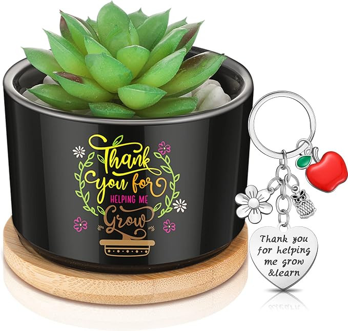Bokon Teacher Appreciation Gift Set for Women Men, Teacher Keychain and Succulent Planters Pot, T... | Amazon (US)