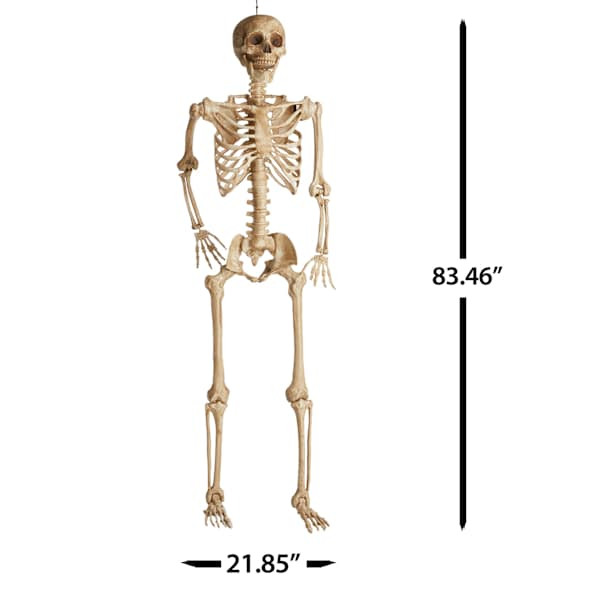 Posable Skeleton, 7' | At Home