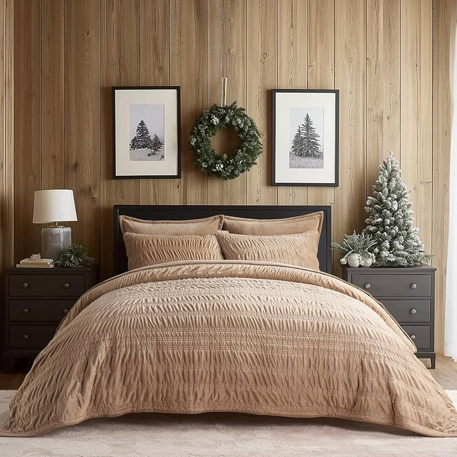 EVERGRACE Velvet Quilt Queen Size, Luxury Velvet Bedding Set, Ultra Soft Ruched Quilt Sets, Light... | Amazon (US)