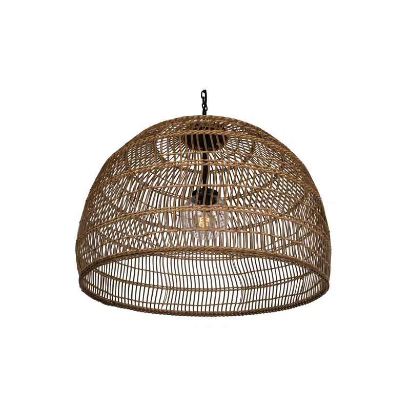 Aundra Outdoor Pendant | Wayfair North America