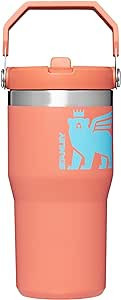 Stanley Classic IceFlow Flip Straw Tumbler for Kids (8 or Above), 20oz, Stan the Bear Stainless S... | Amazon (US)