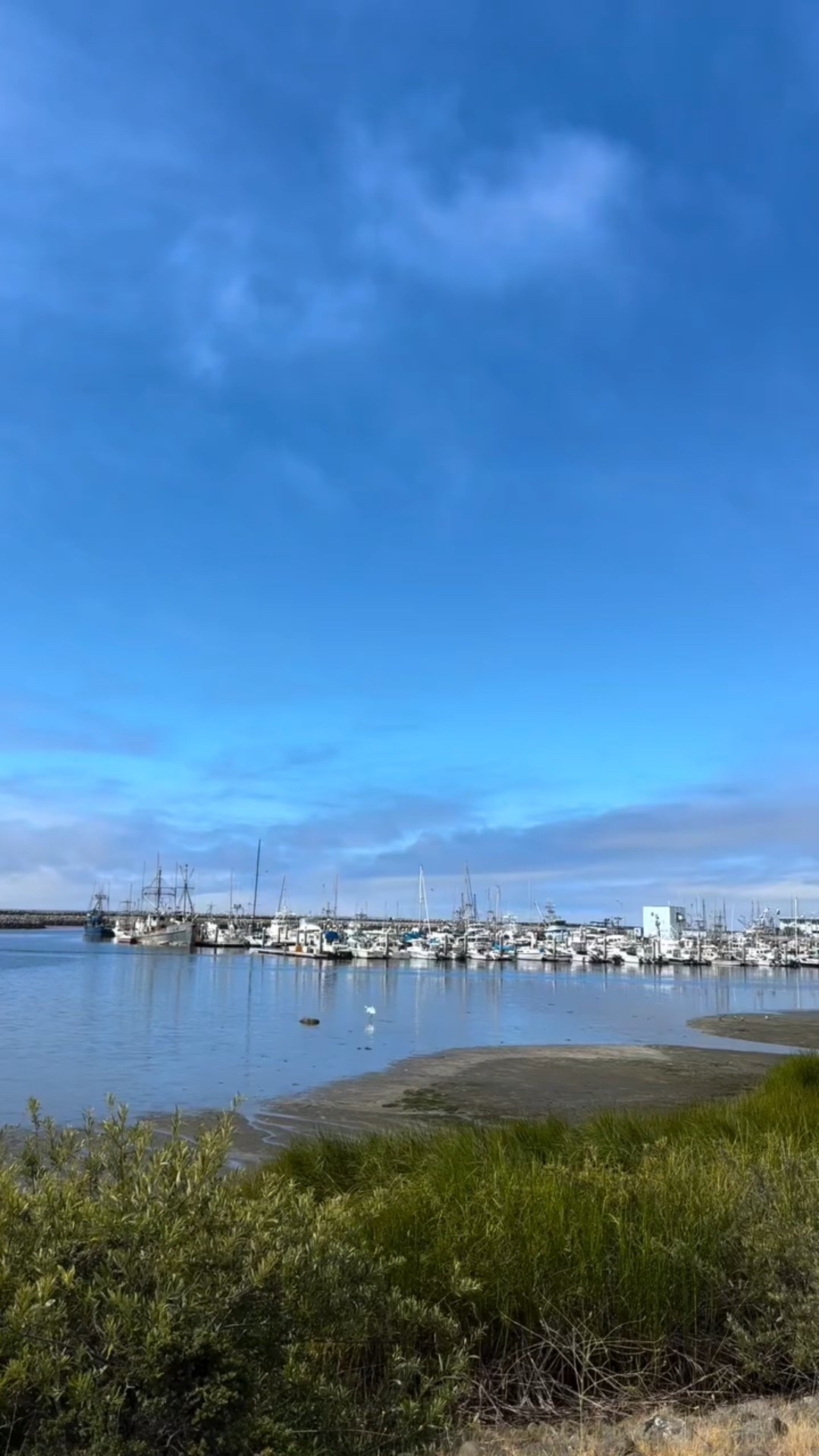 A morning walk in Half Moon Bay, California with my love ✨ #halfmoonbay #california #walk #asmr #morning #vintagestyle