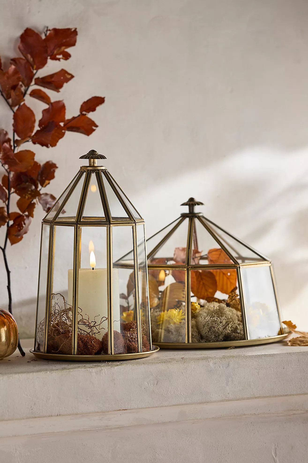 Domed Brass + Glass Cloche | Anthropologie (US)