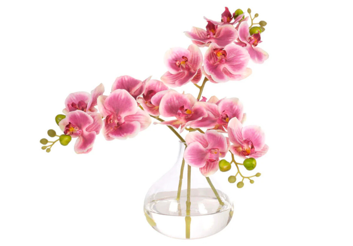 PINK ORCHID | Alice Lane Home Collection