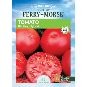 Ferry-Morse Tomato Seeds 25 Count | Lowe's