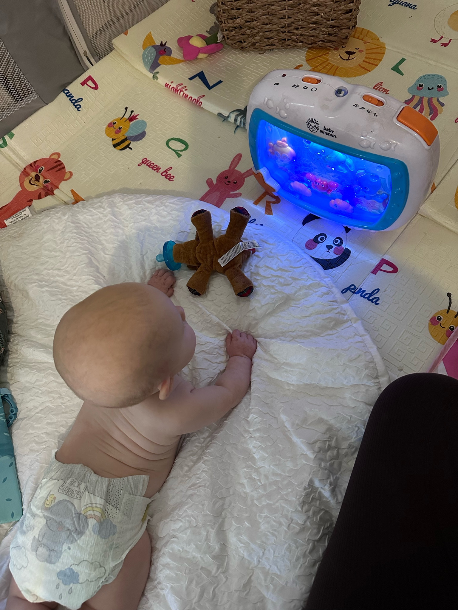 Screen free baby play time! 

#LTKGiftGuide #LTKHoliday #LTKCyberWeek