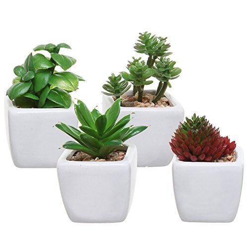 Set of 4 Small Modern Cube-Shaped White Ceramic Planter Pots with Artificial Succulent Plants - MyGi | Amazon (US)