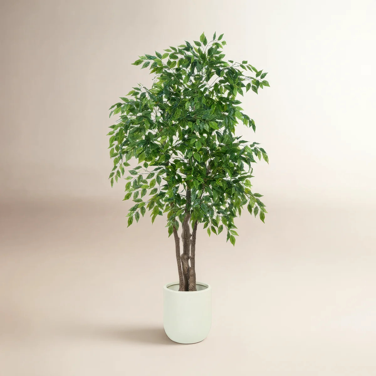 Faux Ficus Tree In White Planter, Lifelike Artificial Ficus Plant For Indoor And Outdoor Decor | Wayfair North America