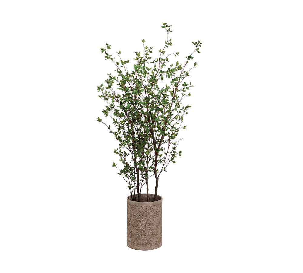 Faux Cornus Trees In Terracotta Planter | Pottery Barn (US)