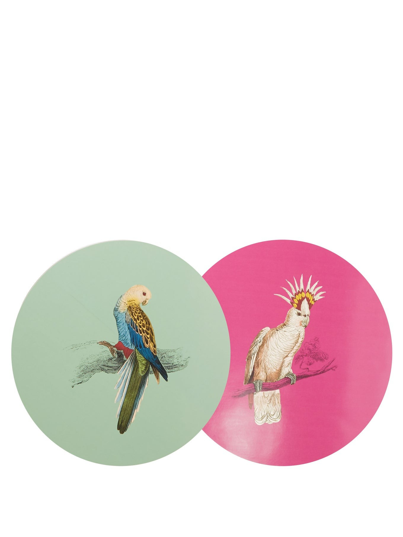 Set of four La Menagerie hand-painted placemats | Matches (UK)