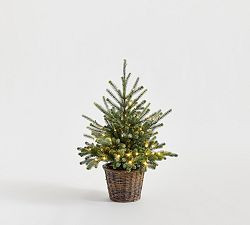 Faux Lit Blue Spruce Tree | Pottery Barn (US)