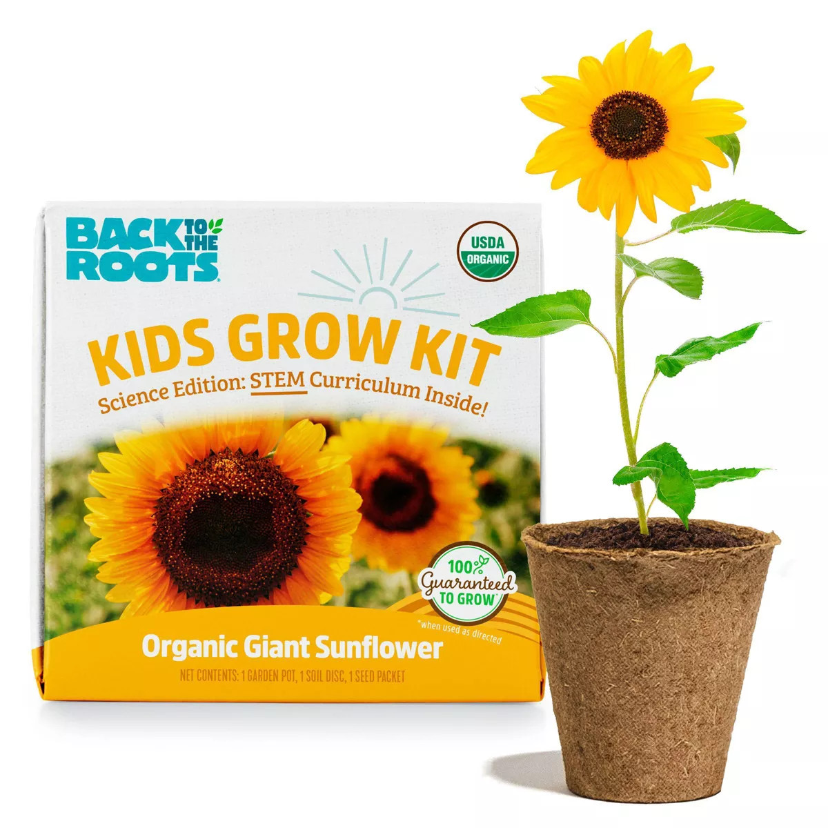Back to the Roots Kids Grow Kit Science Edition Organic Giant Sunflower | Target