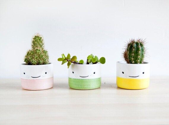 Ceramic planters for succulent, Ceramic plant pot, Ceramic small planters set, Cactus planter, Potte | Etsy (US)