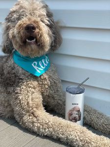 Personalized Pet Skinny Tumbler | Type League Press