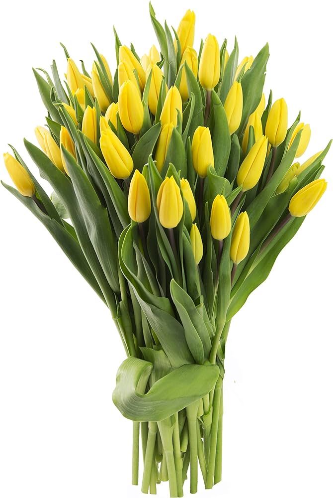 Blooms2Door PRIME NEXT DAY DELIVERY - 50 Yellow Tulips .Gift for Birthday, Sympathy, Anniversary,... | Amazon (US)